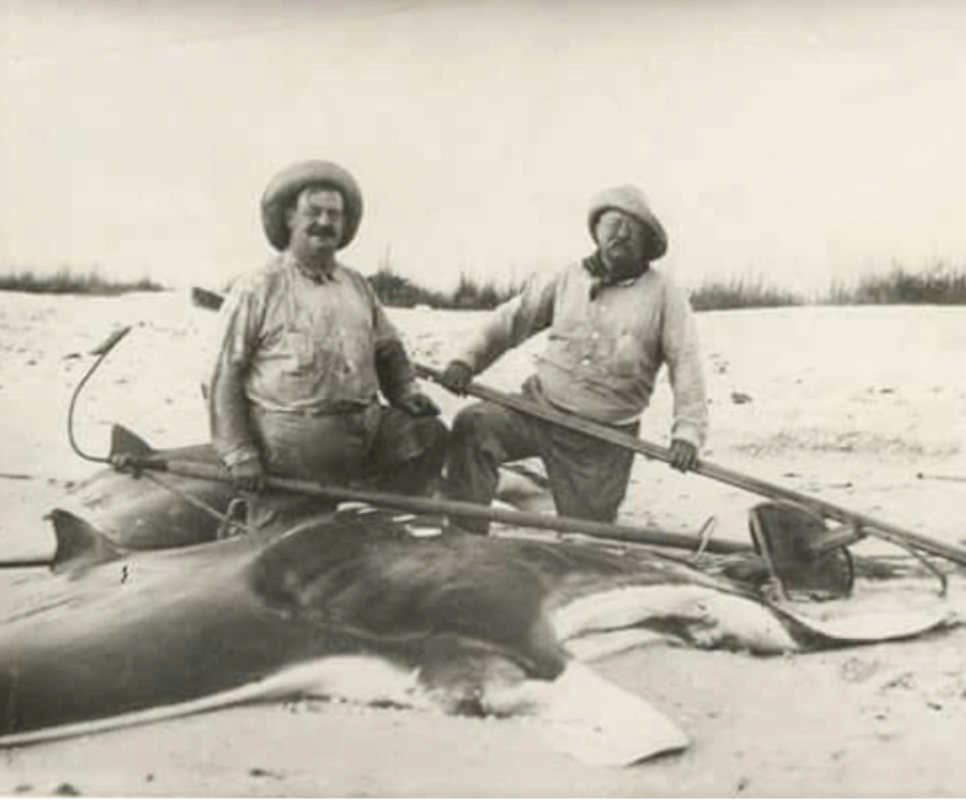 Teddy Roosevelt harpoon.jpg