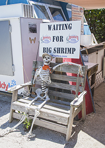Captiva_March_2017_125 copy.jpg