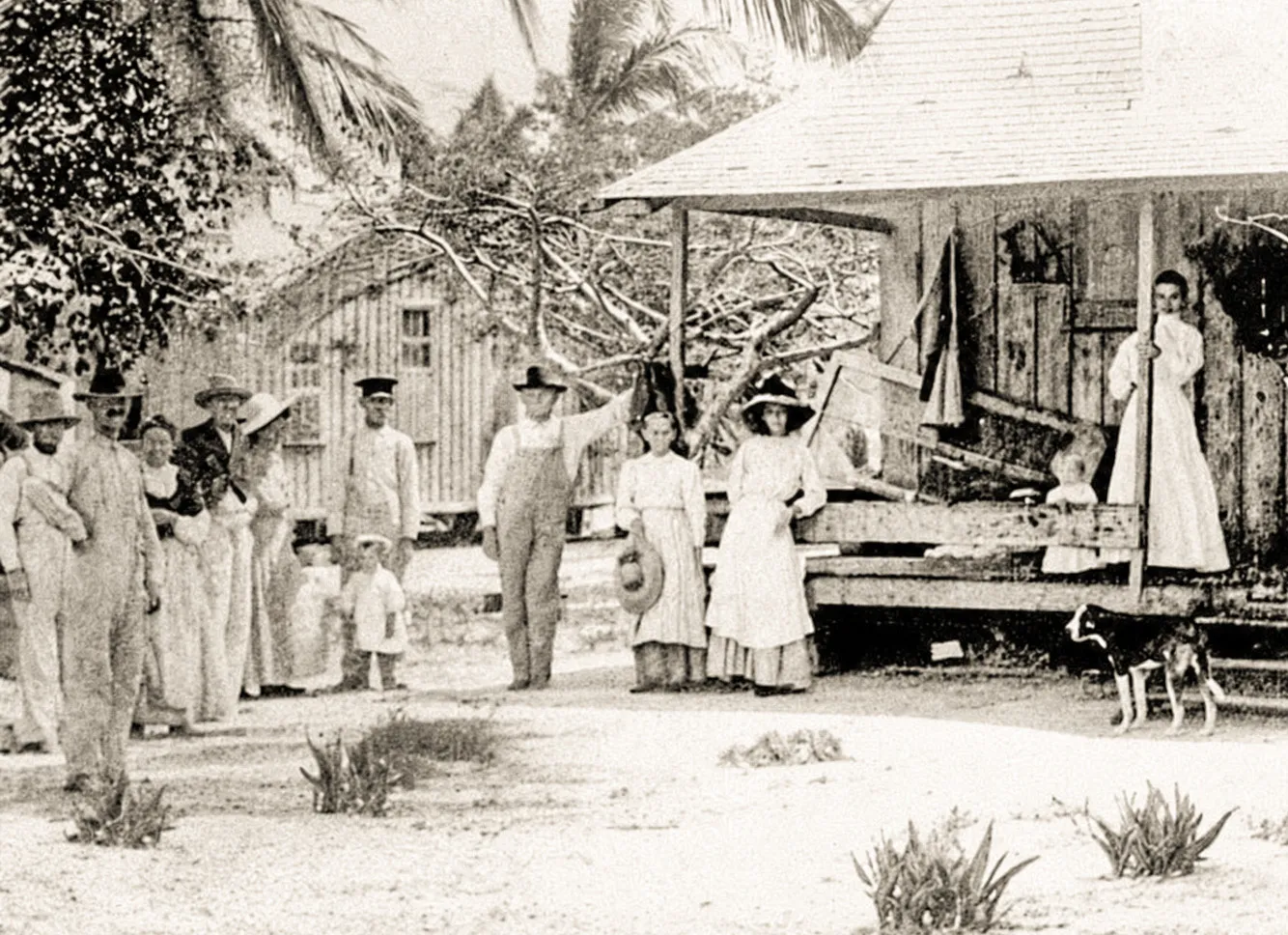 (9) 1903 Carter Home.webp