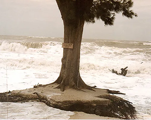 Mucky_Duck_85_storm.webp
