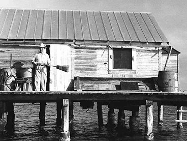 Fish_House_copy.webp