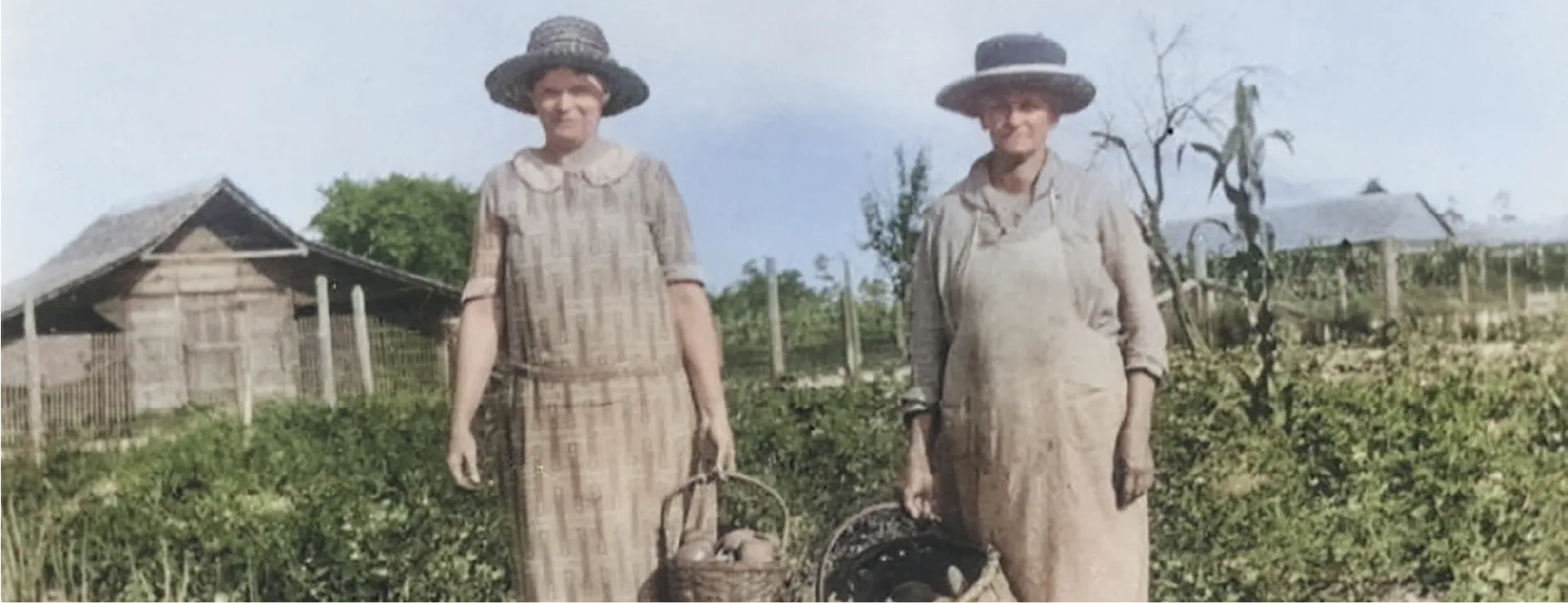 hero_women_harvesting_vegetables.webp