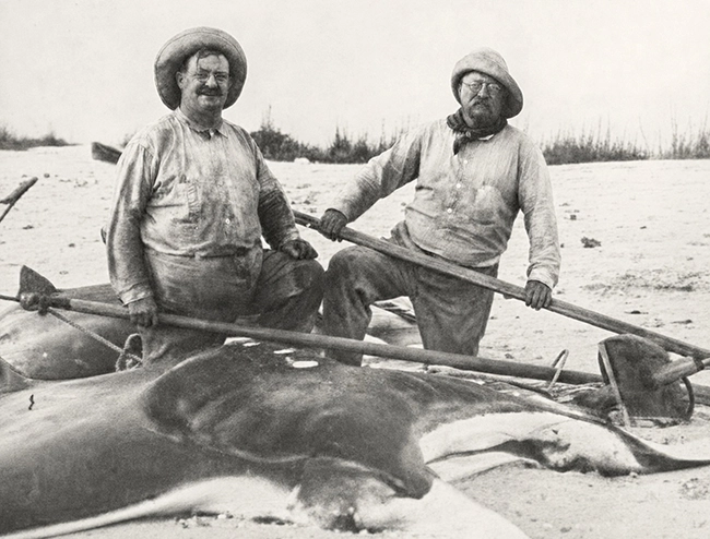 Roosevelt_Devil Fish.webp