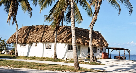 Timmys_Nook-Thatched.webp